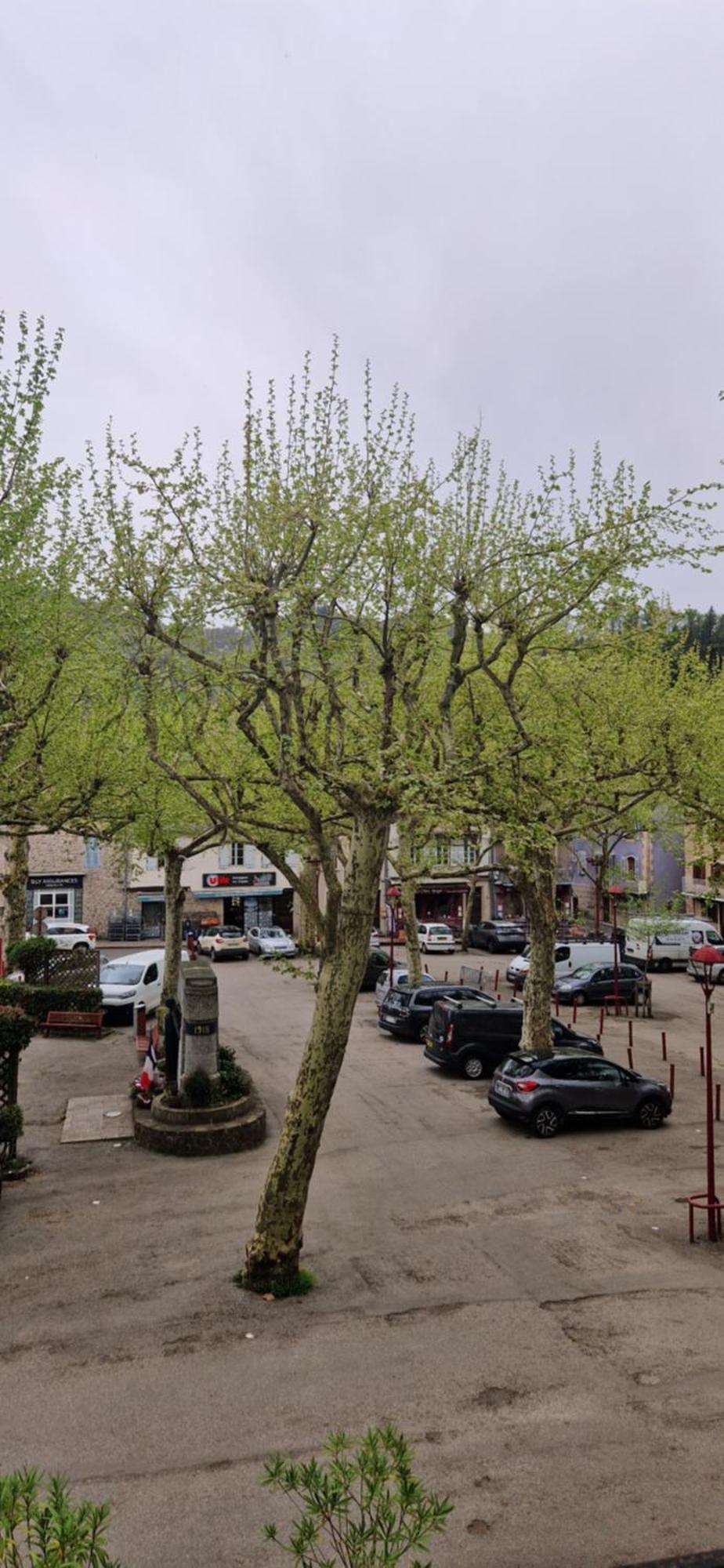 Hotel 1610 Entraygues-sur-Truyère Eksteriør billede